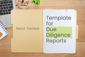 Due diligence report template