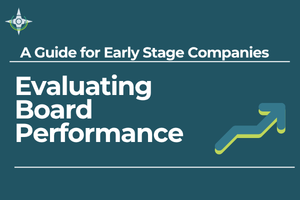 Template for Startup Board Directors Performance Assessment