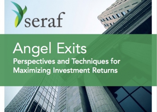 Angel Exits: Perspectives and Techniques for Maximizing Investment Returns