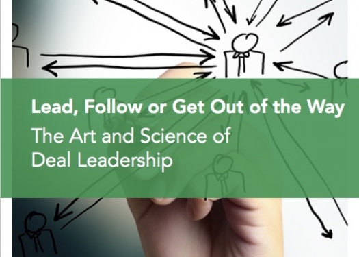 The Art and Science of Deal Leadership for Early Stage Investors