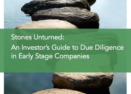 Due Diligence Guide for Early Stage Investors