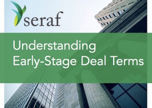 An Investor's Guide to Early Stage Deal Terms