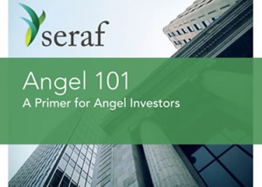 Cover of Angel 101: A Primer for Angel Investors
